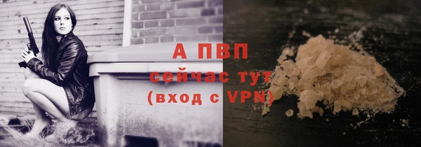 сатива Армянск