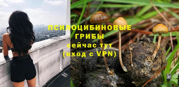 сатива Армянск